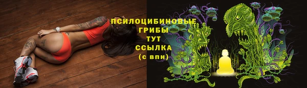 МДПВ Алексеевка
