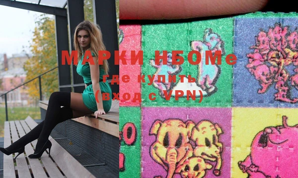 молекула духа Новозыбков