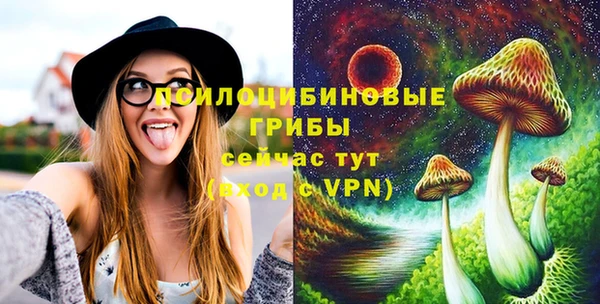 МДПВ Алексеевка