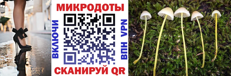 блэк спрут ссылки  Киселёвск  Галлюциногенные грибы Cubensis  цены наркотик 