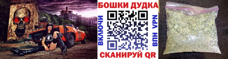 hydra как войти  Киселёвск  Бошки марихуана SATIVA & INDICA 